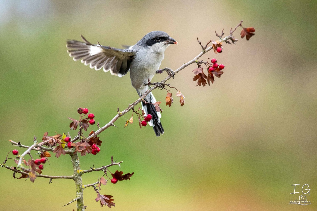 AK6I1990 31 oktober 2021 1547 11